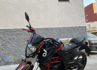 Cimatti bulk 50 - 2021