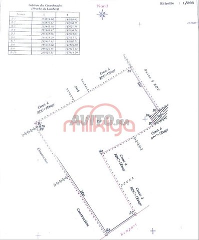 Vente Terrain nu de 300 m2 à Marrakech