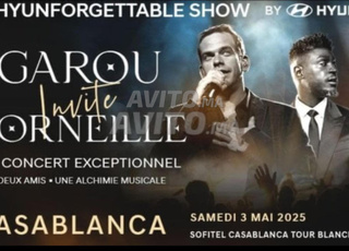 2 Tickets concert de Garou