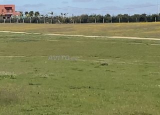 Trois hectares, bonne affaire, carrée, à 7km de Tiflet