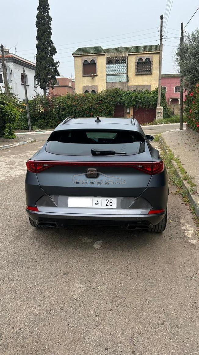 cupra 2024 