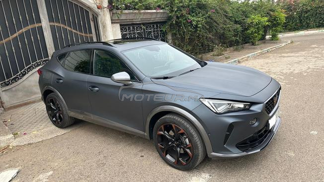 cupra 2024 