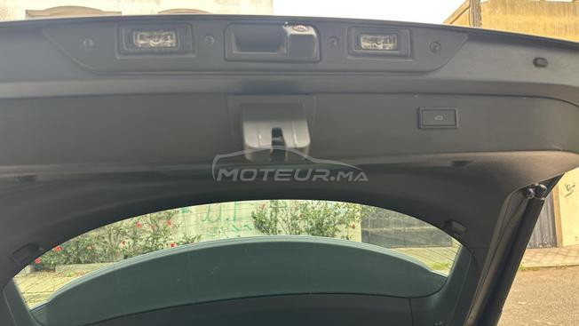 cupra 2024 
