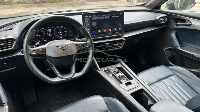 cupra 2024 