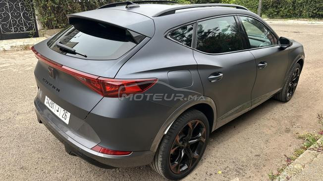 cupra 2024 