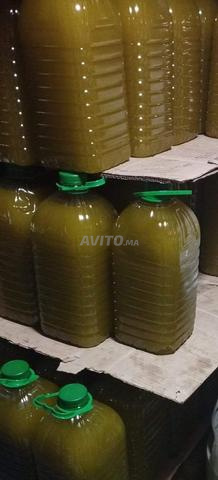 زيت العود / زيت زيتون ديال هاد العام