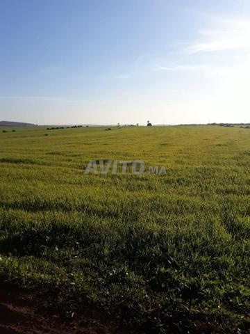 ارض فلاحية  محفظة بضواحي بن سليمان - 2