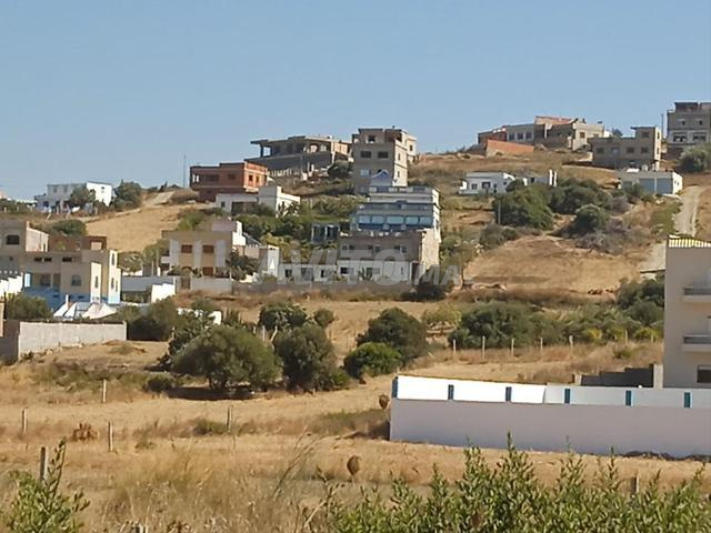 Pour les amoureux de calme et de nature.. Terrain à Oued Alliane - 2