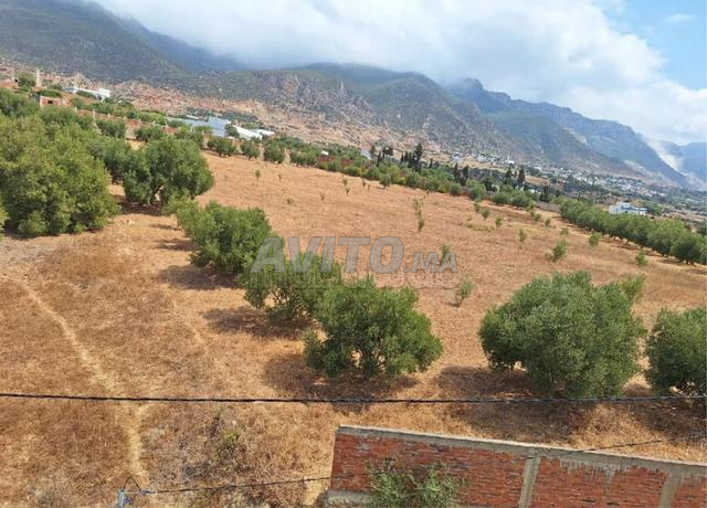 Grand terrain titré 1,1 hectare Bin Karich Tétouan