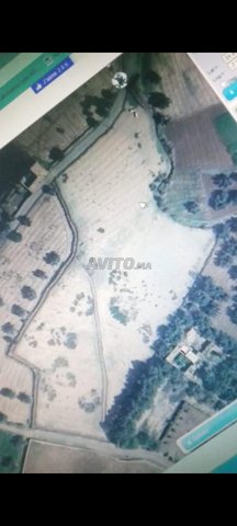 A vendre terrain agricole excellente opportunité 