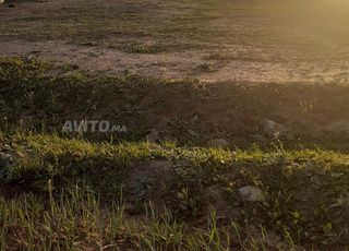 جماعة الغديرة البيرالجديد إقليم الجديدة 