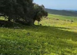 قطعة ارضية للبيع محفظة في خميس الساحل    