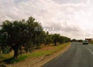 بقعة أرضية 13دقيقة من تارودانت