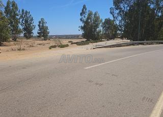 terre agricole a vende 