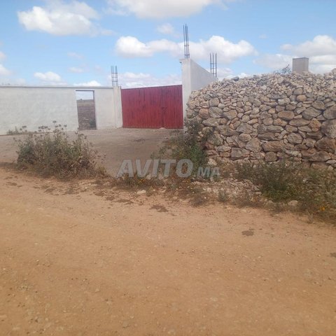 A vendre  ferme environ 20 hectar titré sebt sais