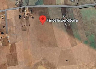 ثلاثة هكتارات للبيع بالحرش في الخميسات