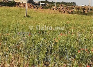 أرض و منزل للبيع