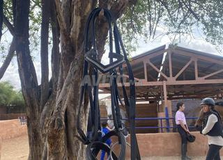 filet d’equitation 