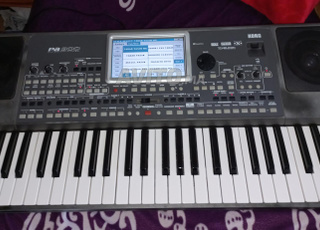 korg pa900                    