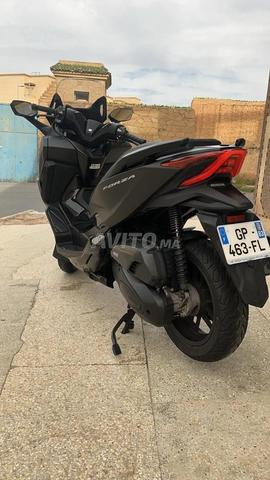 Forza125 2023 douan2025 plaqu rabat premier main