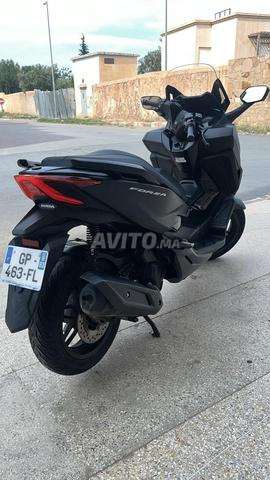 Forza125 2023 douan2025 plaqu rabat premier main