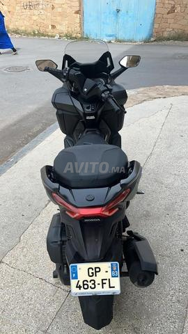 Forza125 2023 douan2025 plaqu rabat premier main