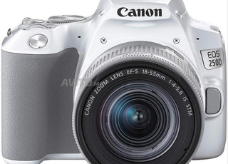 camera canon gris 