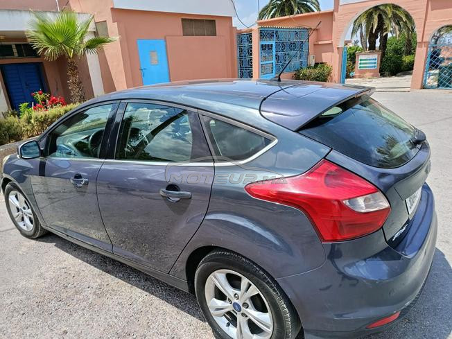 focus sport tout option