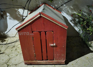Vente d'une baraque pour chiens adultes 