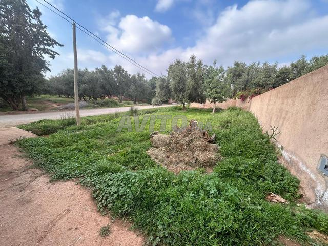 Terrain Luxe Ourika – Potentiel Airbnb Élevé - 2