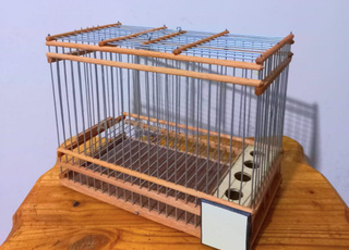 قفص  cage oiseaux 