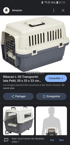 cage transport chien chat