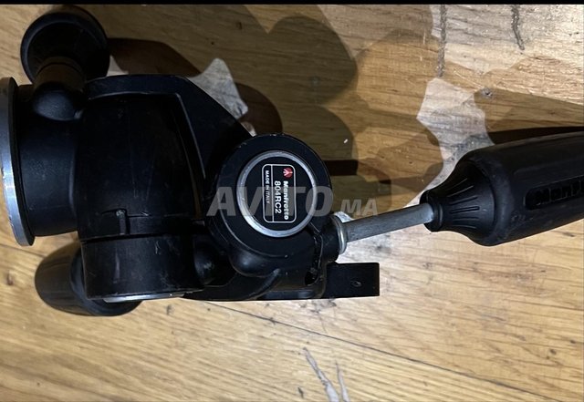 Cartoni Focus 12 Red Lock (100mm)
