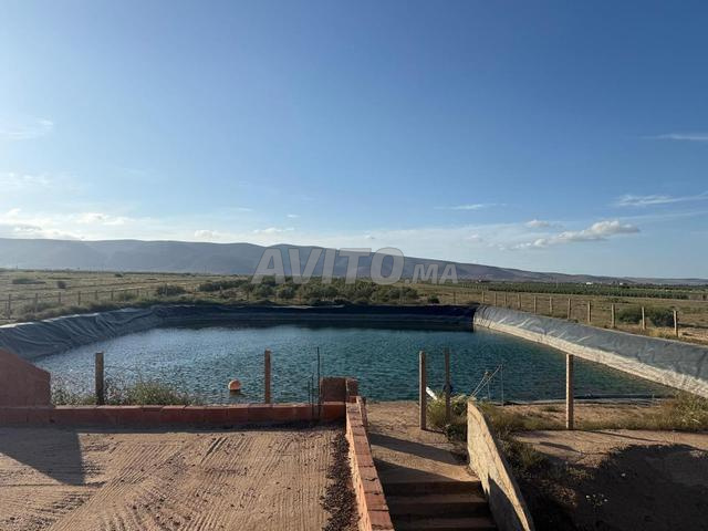 Vends ferme avec Bassin et Arbres Oliviers Amandes 