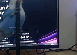 deux inséparable dressé et grande cage 