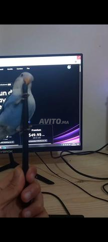 deux inséparable dressé et grande cage 