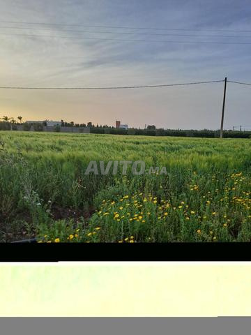 Terrain agricole fertile à vendre 30.000m2 - 2
