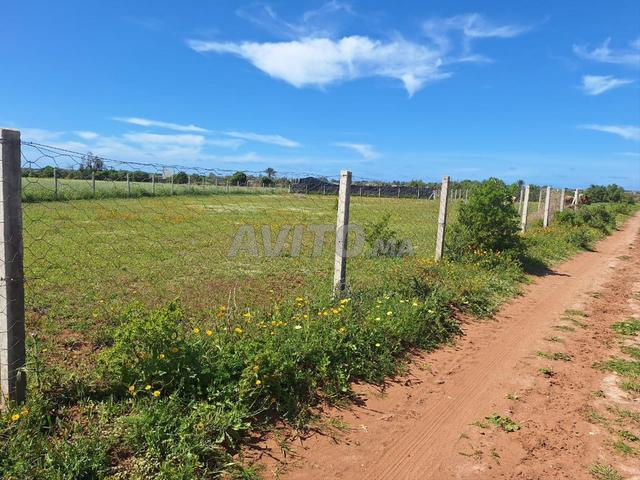 بقعة أرضية للبيع مساحتها 1778 متر مربع - 2