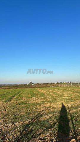 terrain strategiquement situé a elkamouni - 2