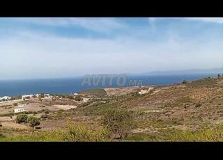 أرض مسجلة مع تصريح بناء