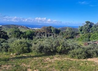 أرض في المنطقة السياحية