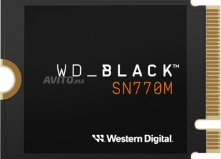 WD Black SN770M 2 to M.2 2230 NVMe SSD