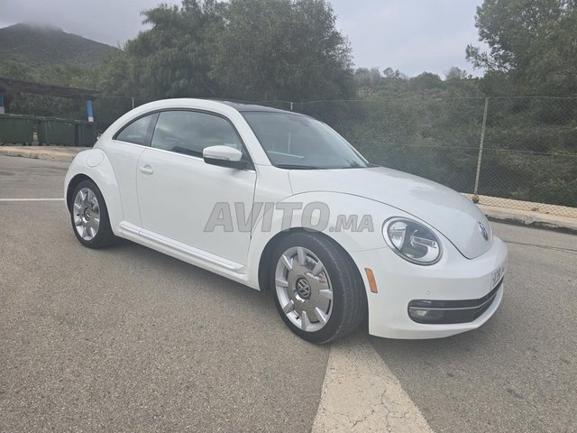 volkswagen coccinelle 