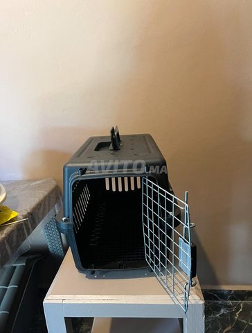 cage et toilette pour chat 