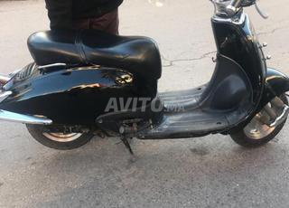 هوندا شاداو