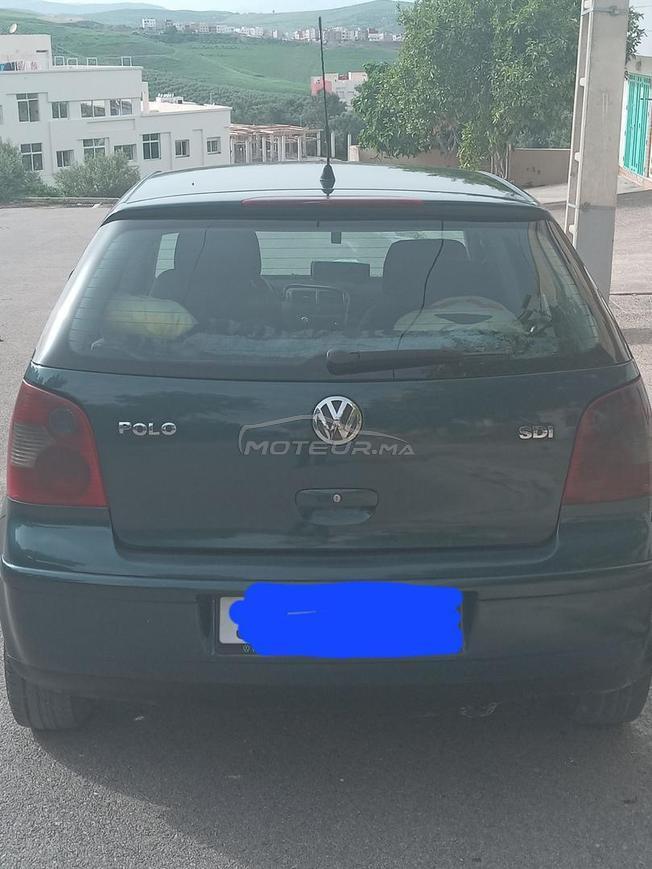 polo 2003