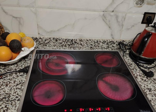 Plaque de cuisson induction professionnel 