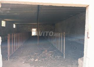 Ferme a vendre les environs d’eljadida