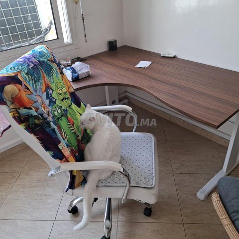 table et chaise professionnelles 