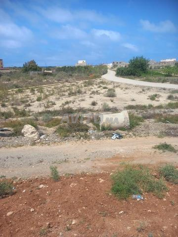 Terrain à vendre Souani-Alhoceima أرض للبيع  - 2